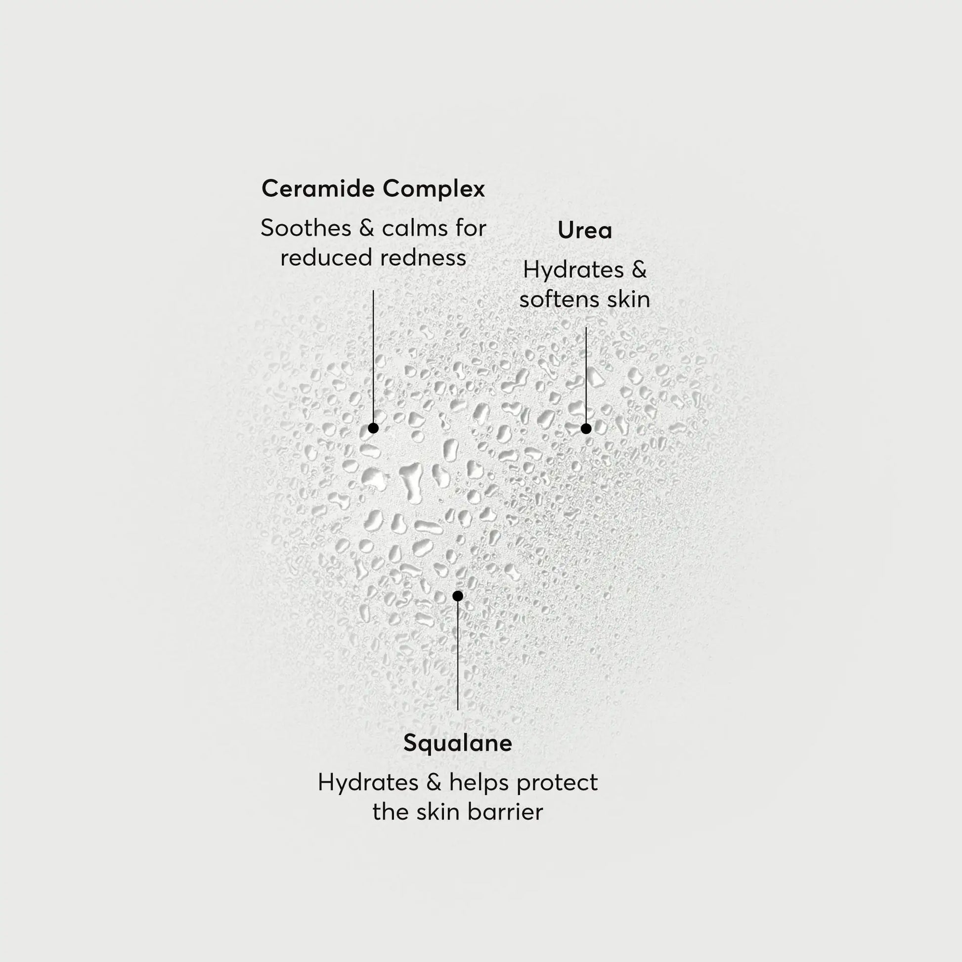 barrier-bounce-bi-phase-mist-i8 NATR-10167-Alt-Images-Barrier-Bounce-Bi-Phase-Toner-Mist_01.webp